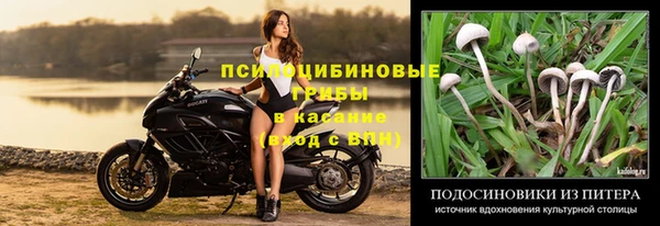соль ск Наволоки