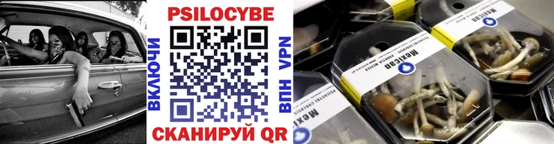 Псилоцибиновые грибы GOLDEN TEACHER  сколько стоит  Приволжск 
